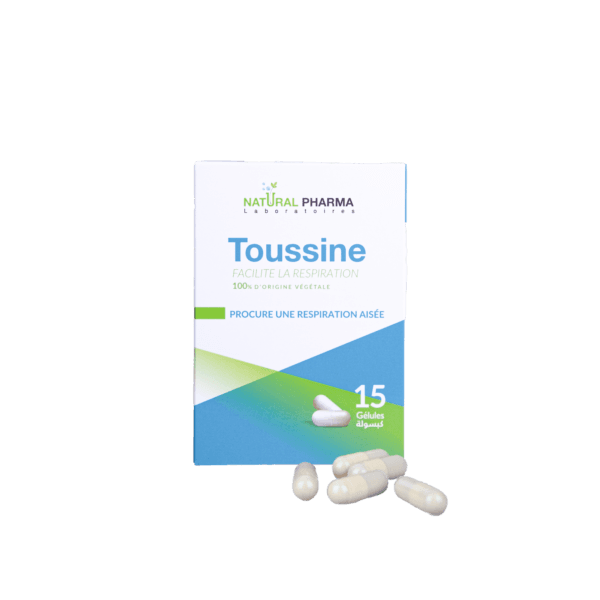 TOUSSINE B15 – Image 3