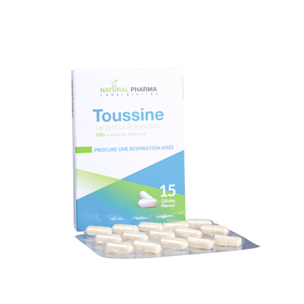 TOUSSINE B15 – Image 2